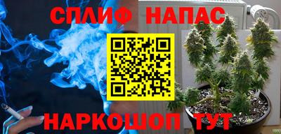 скорость Пугачёв