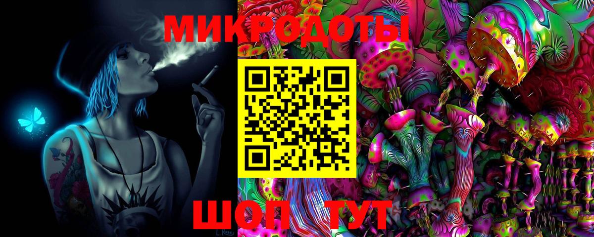 Сунжа  Галлюциногенные грибы Psilocybe  Галлюциногенные грибы мицелий  Вход с VPN 