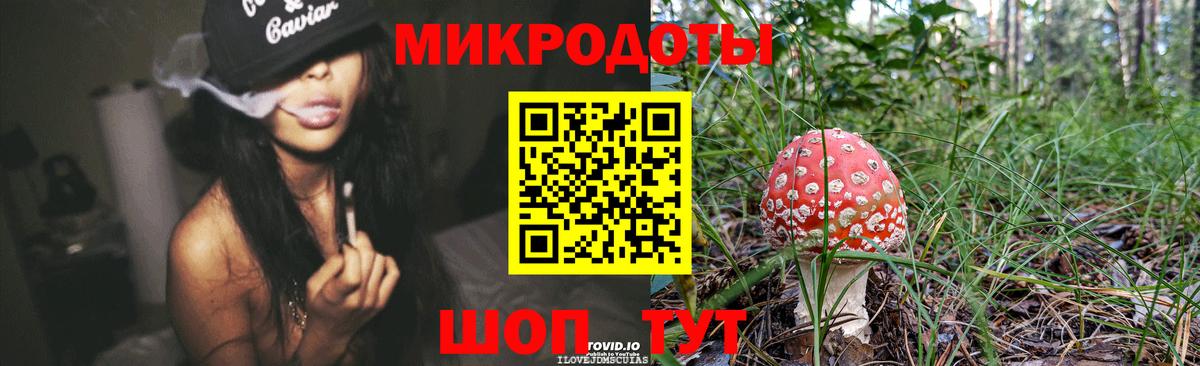 Галлюциногенные грибы GOLDEN TEACHER Сунжа